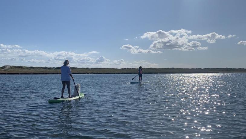 Paddleboard