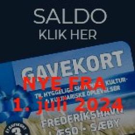 gavekort saldo fra 2024