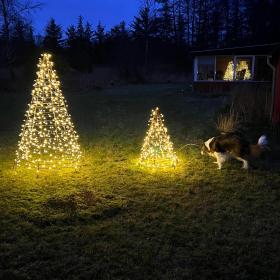 Ægirs juletræer julemarked